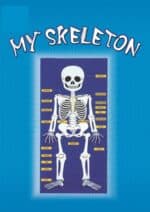 Skeleton Chart 50 x 70 cms