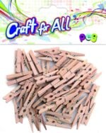Colored wooden Peg  48pcs