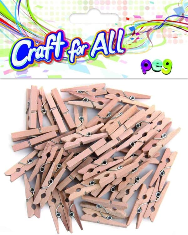 Colored wooden Peg 48pcs