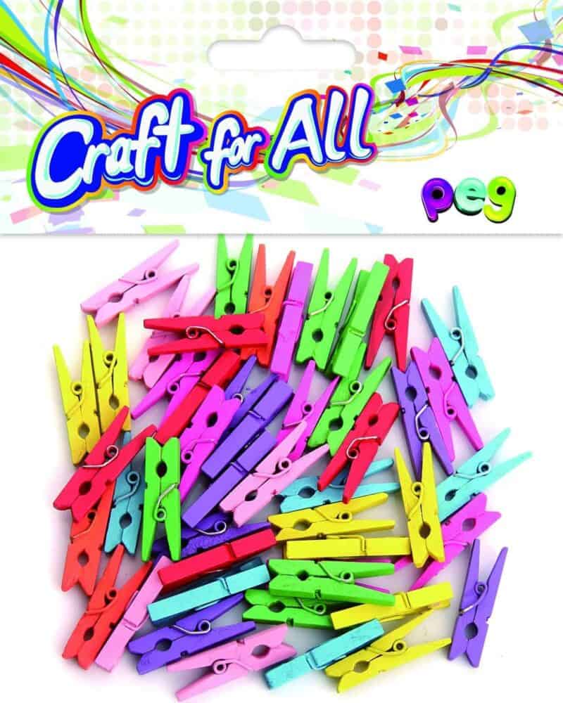 Colored wooden peg 48pcs