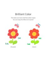 Amos Colorix 4.7gr 6 colors