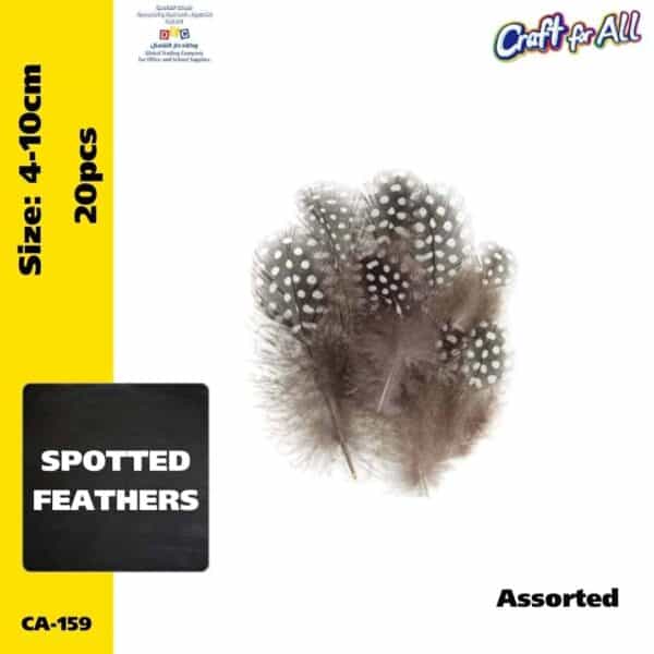 Spotted feathers 4-10cm