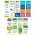 Close Reading Mini Bulletin Board, Gr. 3-5 CTP-0608