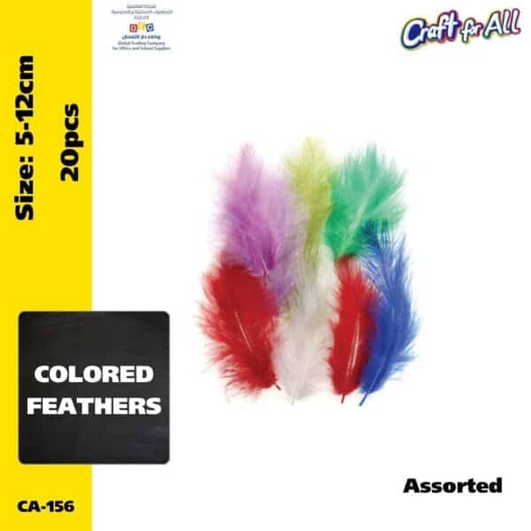 Assorted feathers  5-12cm