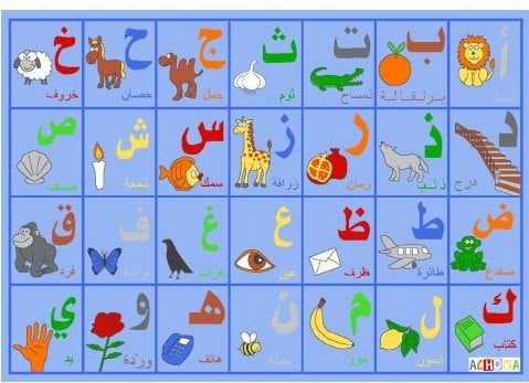 Giant Mat - Alphabet Arabic سجادة تعليمية HOK-13093