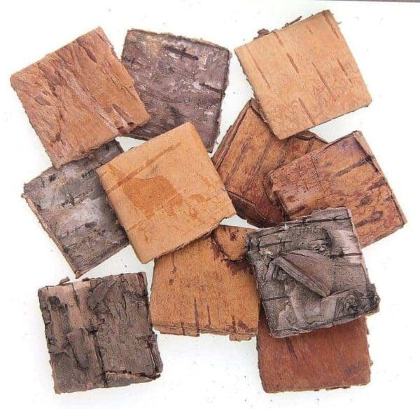 Tree Bark Log Wooden Square Shaped 3.3x3.3cm,12pcs
