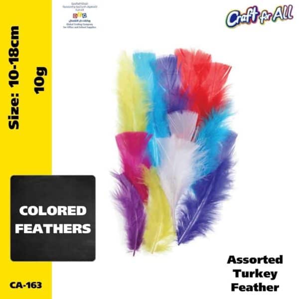Assorted Turkey feathers 10-18cm