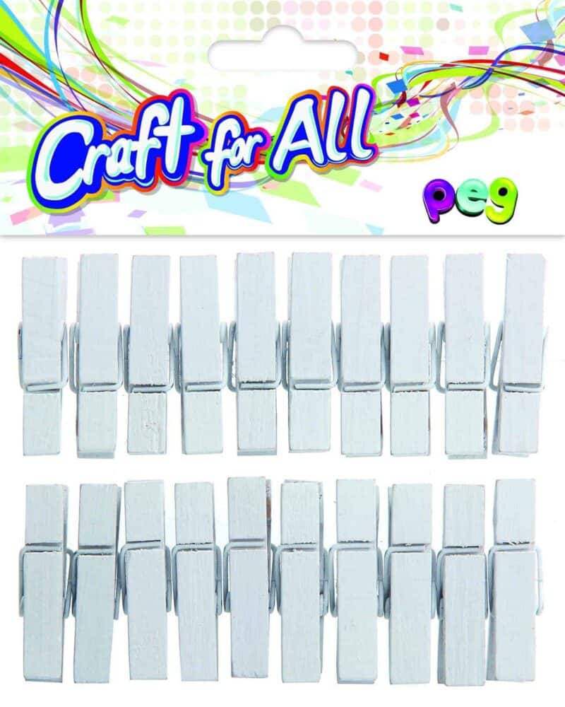 Colored peg  20pcs