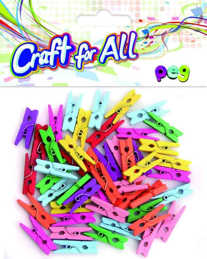 Colored wooden peg  48pcs