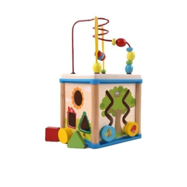 Wooden Learning Cube