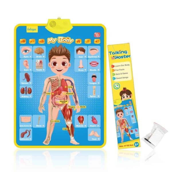 My Body Talking Poster Interactive Educational Human Anatomy