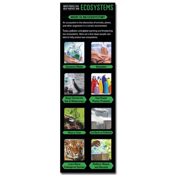 Ecosystems Giant Banner