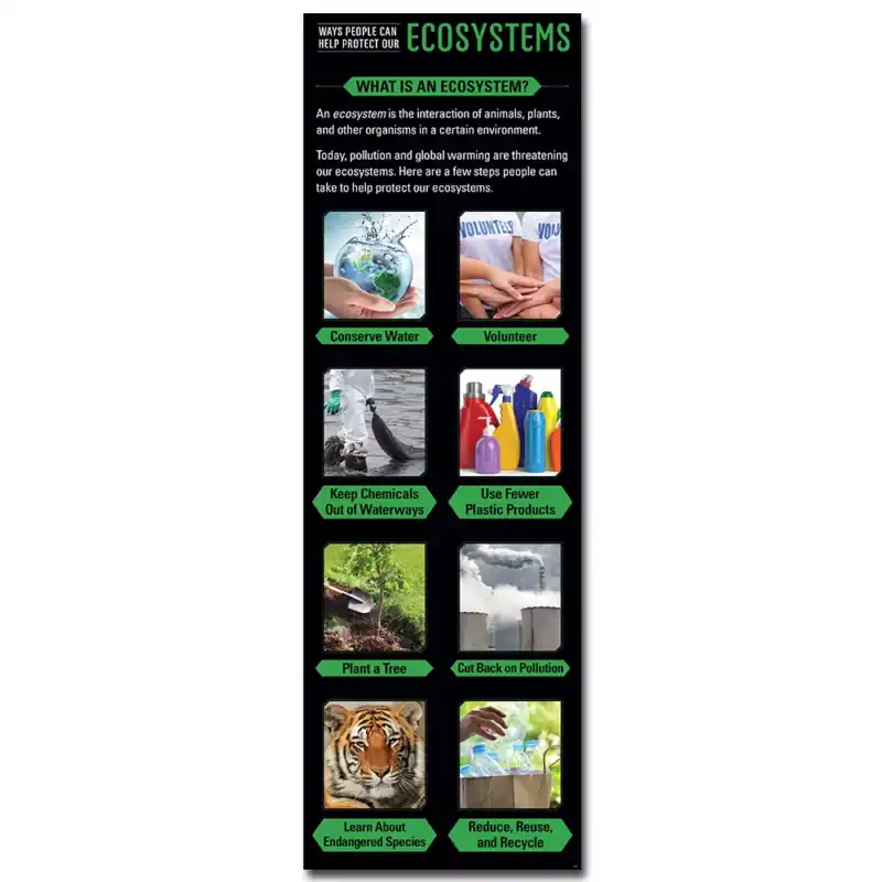 Ecosystems Giant Banner