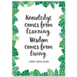 Knowledge Comes From Learningé (Pp) Inspire U Poster