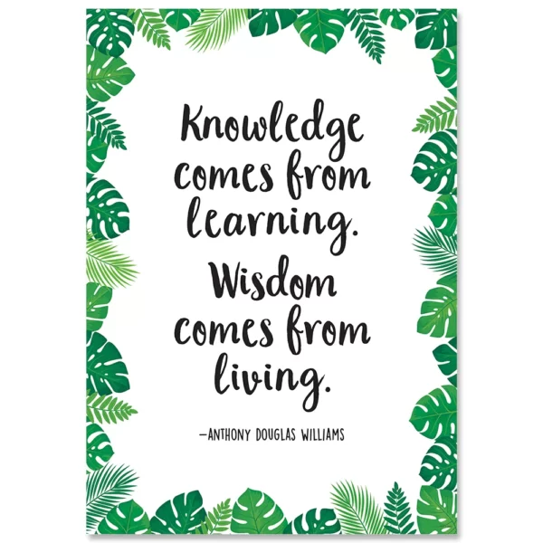 Knowledge Comes From Learningé (Pp) Inspire U Poster