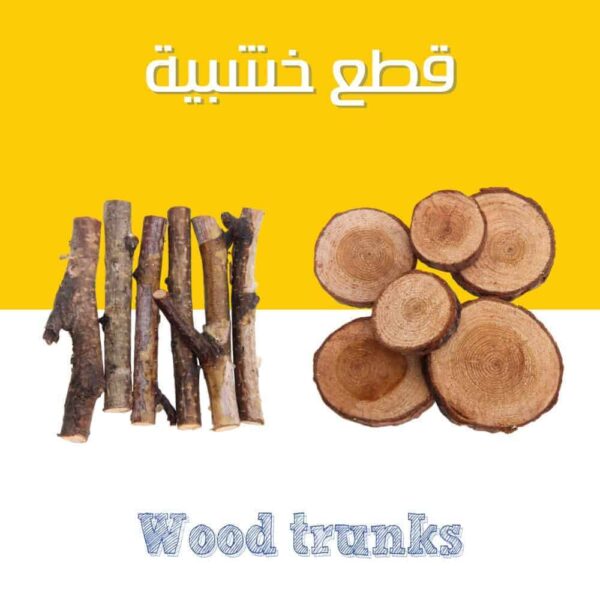 Wooden Trunks