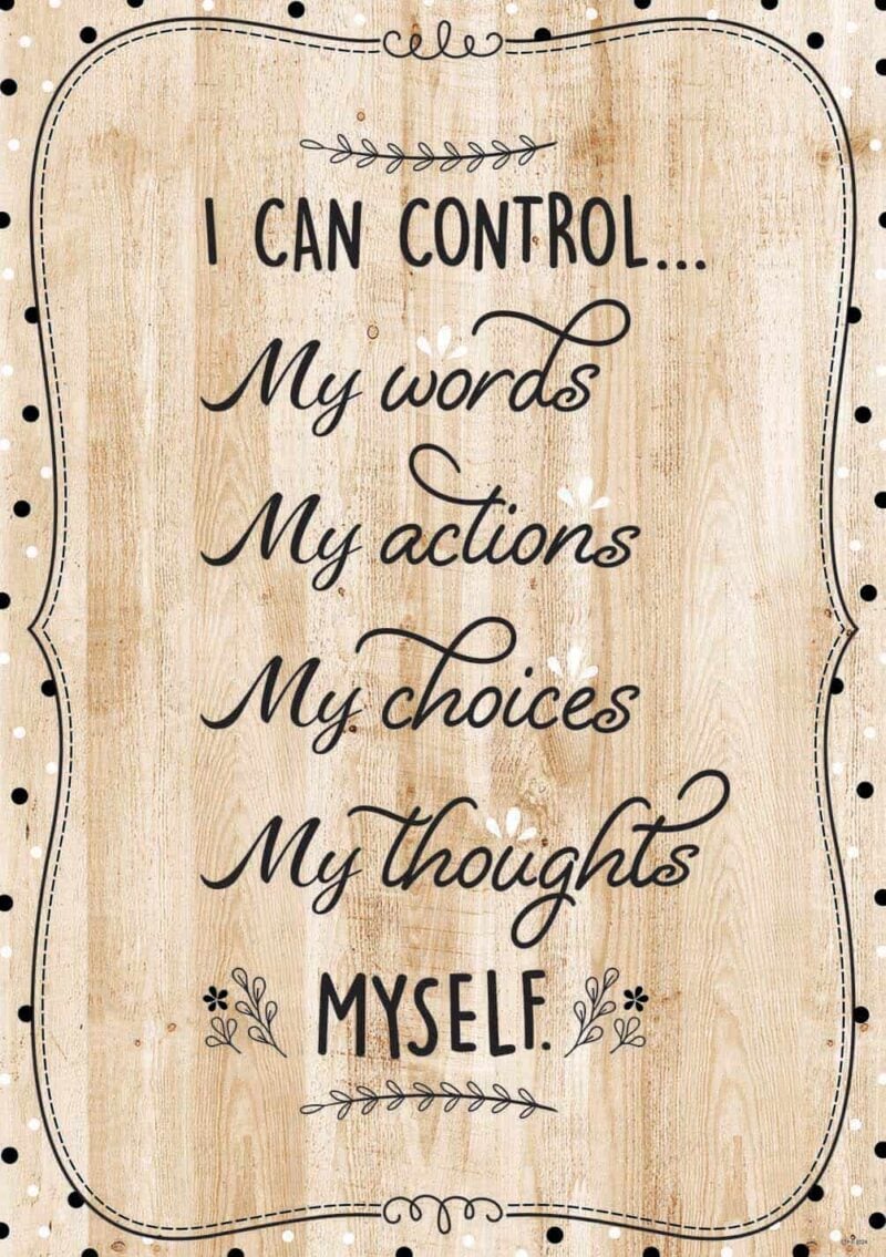 Inspire U Poster: I Can Control… (Core Decor)