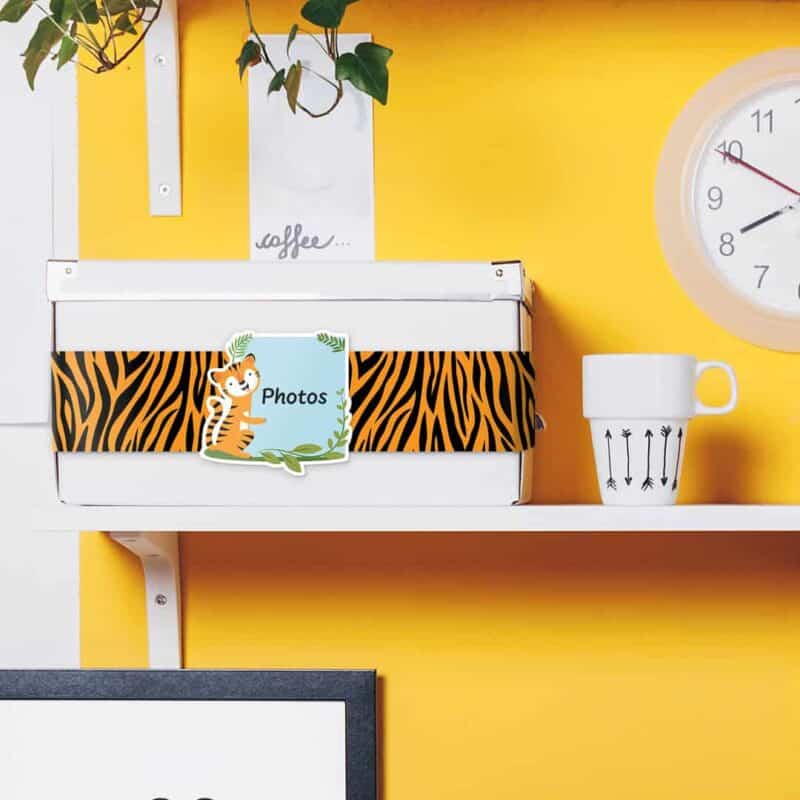 Jungle friends tiger stripes ez border