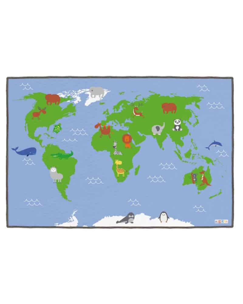 A map of the world