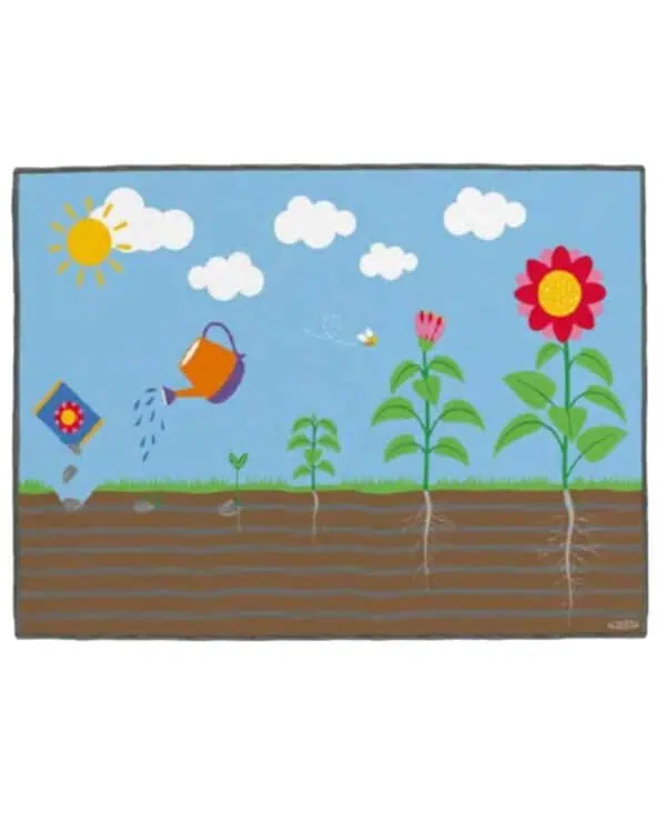 a drawing of a garden