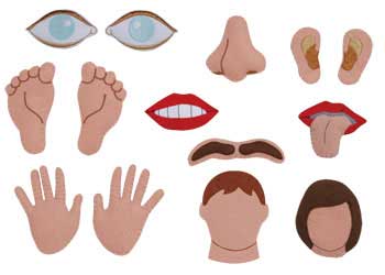 My Body Parts Felt Pieces 14pc
