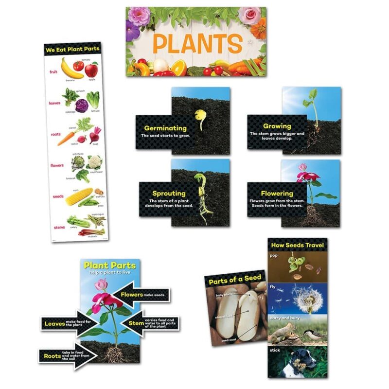 Creative teaching press use this 30-piece plants mini bulletin board with gr. K-2 students to help them: learn what plants need to survive identify the parts of a plant and their functions learn about edible plants describe the life cycle of a plant comprehend plant habitats and adaptations identify parts of a seed describe how seeds travel color photographs cover the following topics: parts of a seed: baby plant, stored food, seed code how seeds travel: pop, fly, carry and bury, stick plant parts: roots, stem, leaves, flowers plant life cycle: germinating, sprouting, growing, flowering plant adaptations: grassland (grass), rain forest (bromeliad), desert (saguaro cactus), wetlands (mangrove tree) edible plant parts mini bulletin board set also includes an instructional guide with display ideas, classroom activities, and related learning standards. About science content-based mini bulletin boards optimize learning by having students experience science concepts in a variety of ways. The interactive, manipulative design of this set provides numerous ways to present information! Use this science mini bulletin board to complement or enhance your science curriculum. Introduce science concepts and vocabulary, develop skills in learning centers, instruct small groups, and more! This resource provides the pictorial support needed to help nonreaders, struggling readers, and english language learners understand and comprehend each science concept. Set contains photographs and informative text.