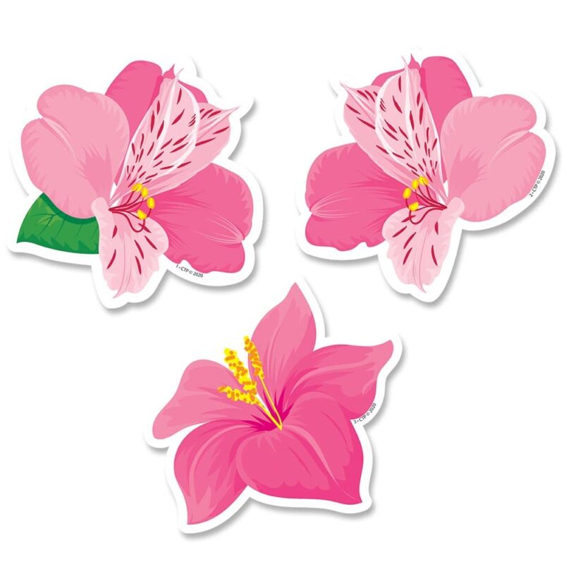 Creative teaching press these pretty pink flowers will brighten your day!   palm paradise pink blooms 3" designer cut-outs are perfect for accenting a variety of classroom displays, bulletin boards, and student projects.   they make great labels on cubbies, student folders, supply bins, binders, and more!   the vibrant flower design makes them great for creating lush tropical displays.   string them together on a ribbon to create a fun pennant decoration.   great for bulletin boards about nature, plants, flowers, and summer. Also, add any content (e. G. , math facts, vocabulary words, or science concepts) to the cut-outs to make instant flash cards, learning cards, or student activity cards.   36 pieces per package
12 each of 3 designs