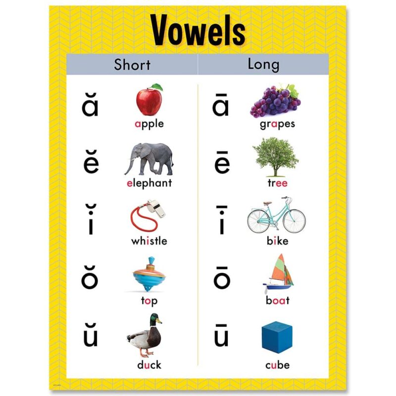 Creative teaching press this vowels chart is great for direct instruction or as a reference for students practicing this early learning language arts concept.   each vowel shows an uppercase and lowercase letter, a photograph of an object to represent the sound the vowel makes, and the word of the object with the vowels highlighted.   use this basic skills learning chart in a daycare, preschool, elementary school classroom, or homeschool environment. Gr. K-1. Chart measures 17" x 22"
back of chart includes reproducibles and activity ideas.  