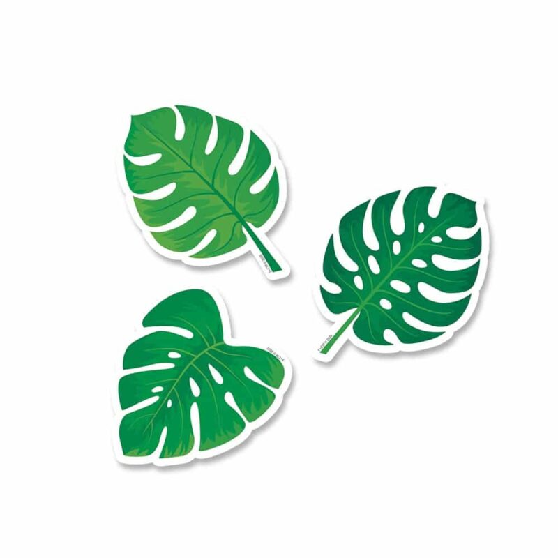Creative teaching press palm paradise monstera leaves 3" designer cut-outs are perfect for accenting a variety of classroom displays, bulletin boards, and student projects.   they make great labels on cubbies, student folders, supply bins, binders, and more!   the colorful leaf design makes them great for creating lush tropical displays.   string them together on a ribbon to create a fun pennant decoration.   great for bulletin boards about nature, plants, the jungle, spring, and summer. Also, add any content (e. G. , math facts, vocabulary words, or science concepts) to the cut-outs to make instant flash cards, learning cards, or student activity cards.   36 pieces per package
12 each of 3 designs