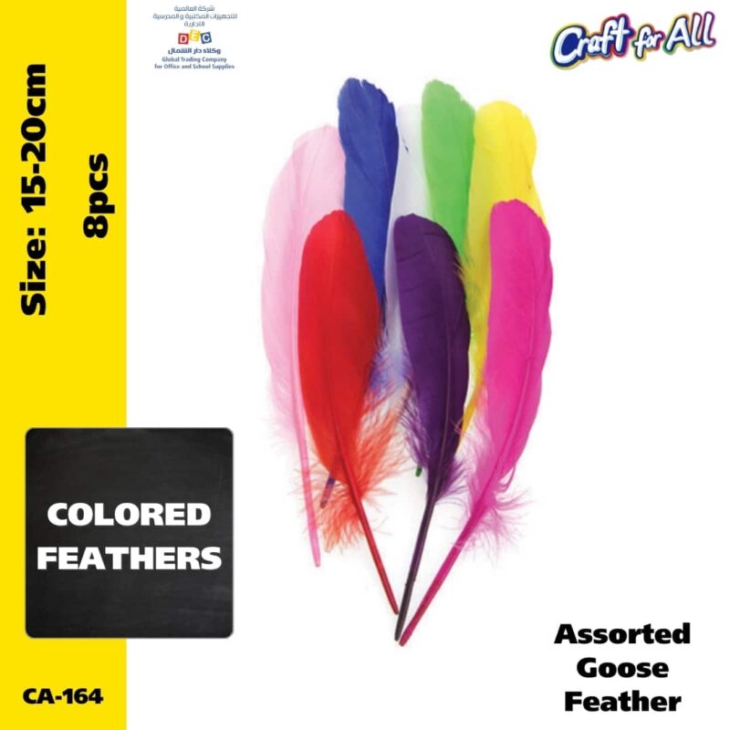 Craft for all assorted goose feathers 15-20cm