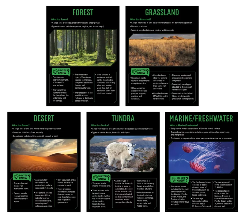 Creative teaching press <p>engage and inspire students with this ecosystems 5-poster set. The 5 posters in this set cover core science content:</p><ul><li>- forest—what is a forest? Facts about forests</li><li>- grassland—what is a grassland? Facts about grasslands</li><li>- desert—what is a desert? Facts about grasslands</li><li>- tundra—what is a tundra? Facts about tundra</li><li>- marine/freshwater—what is marine/freshwater? Facts about marine/freshwater</li></ul><p>the posters feature vivid, engaging photography alongside easy-to-read text to capture students' attention, reinforce instruction, and foster learning. They help bring science content to life and create a stimulating, standards-based classroom environment. </p><p>hang these bright, insightful charts to inspire students to learn about ecosystems and encourage them to apply their knowledge outside the classroom. Display on a bulletin board, on a doorway, in a hallway, or in the library. A must-have for science classrooms! </p><p>perfect for elementary school gate programs, plus middle school and high school classrooms. Also great for stem and steam programs and makerspaces. </p><ul><li>set contains 5 posters</li><li>each poster measures 17½" x 24"</li></ul><p>poster set also includes an instructional guide with lesson ideas, classroom activities, and a reproducible. </p><p><strong>teacher tip:</strong> laminate posters for durability. </p>