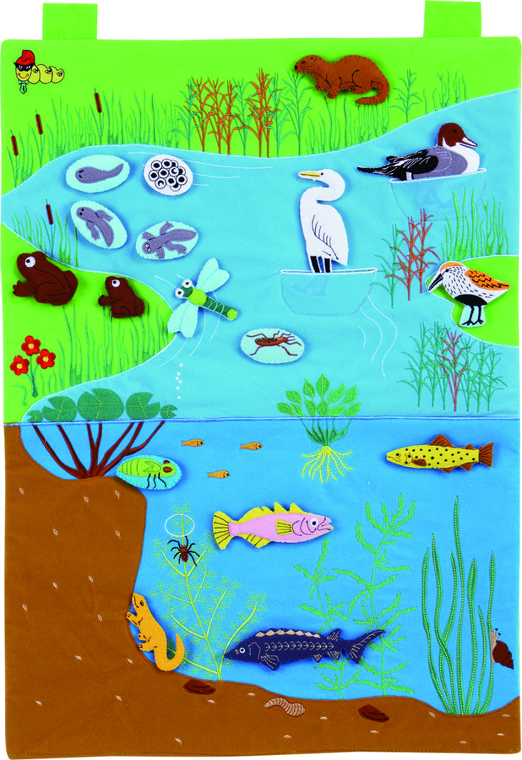 Eqd chart - learning water habitat 50x70cm