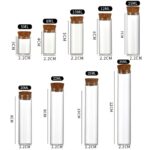 ⁦أنبوب زجاجي
، 2.2X3 سم، 5 مل⁩ - الصورة ⁦2⁩