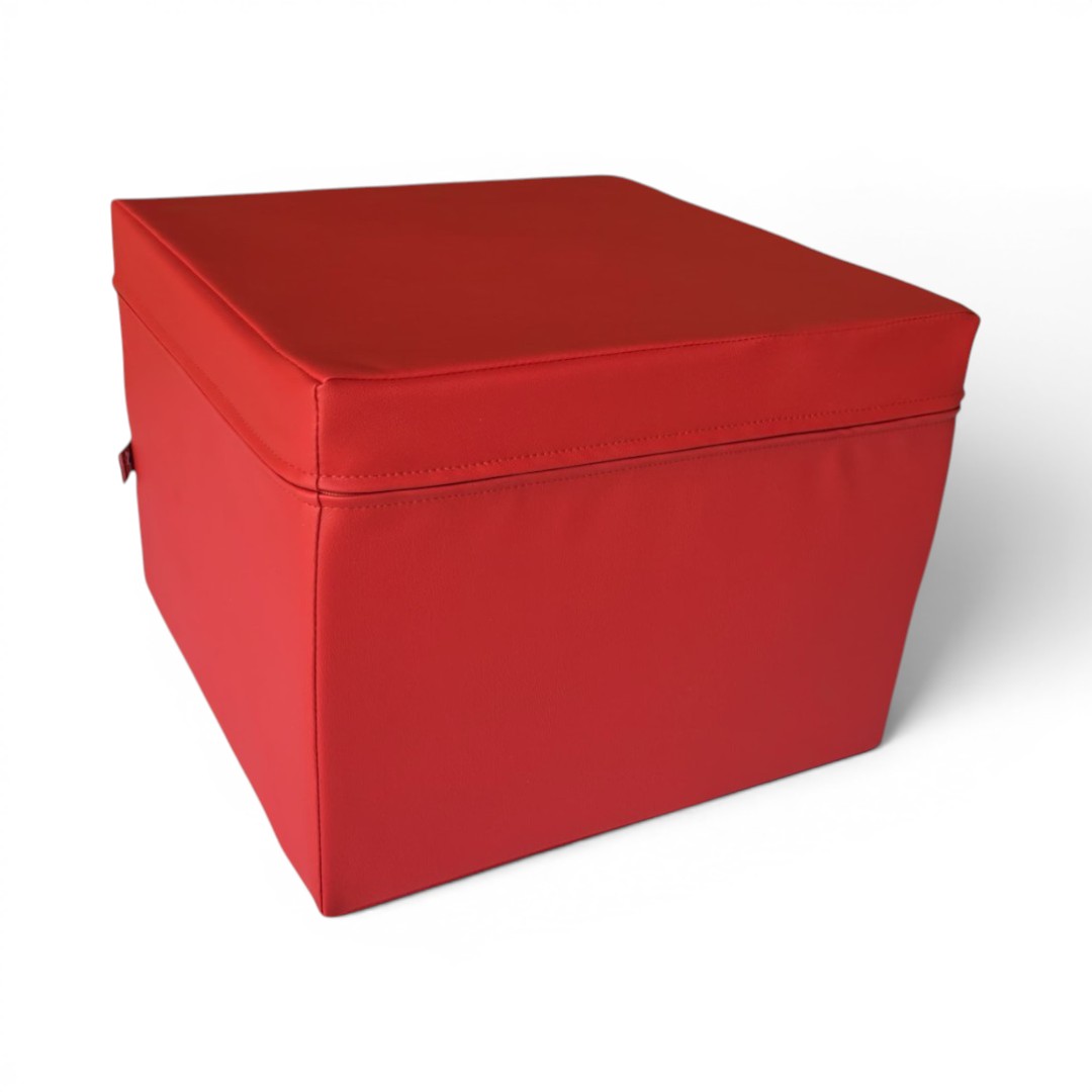 DYN-443060-RED-2 DYN-443060-RED-2
