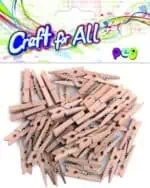 Colored wooden Peg  48pcs