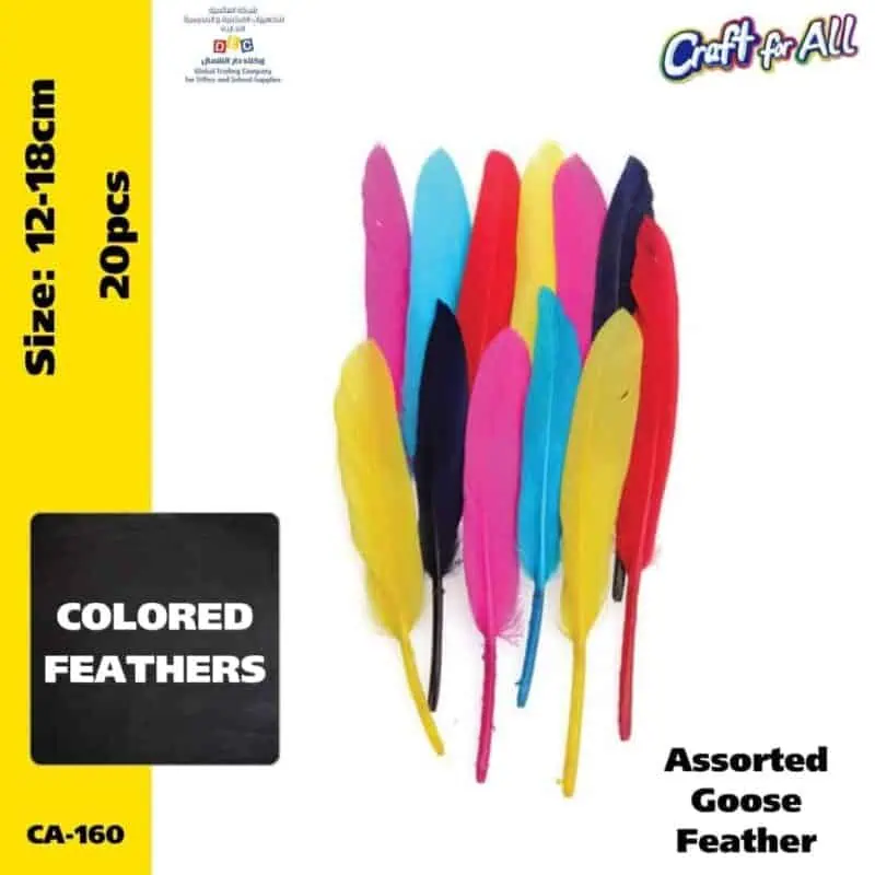 Assorted goose feathers 12-18cm