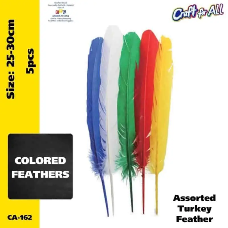 Assorted turkey feathers  25-30cm