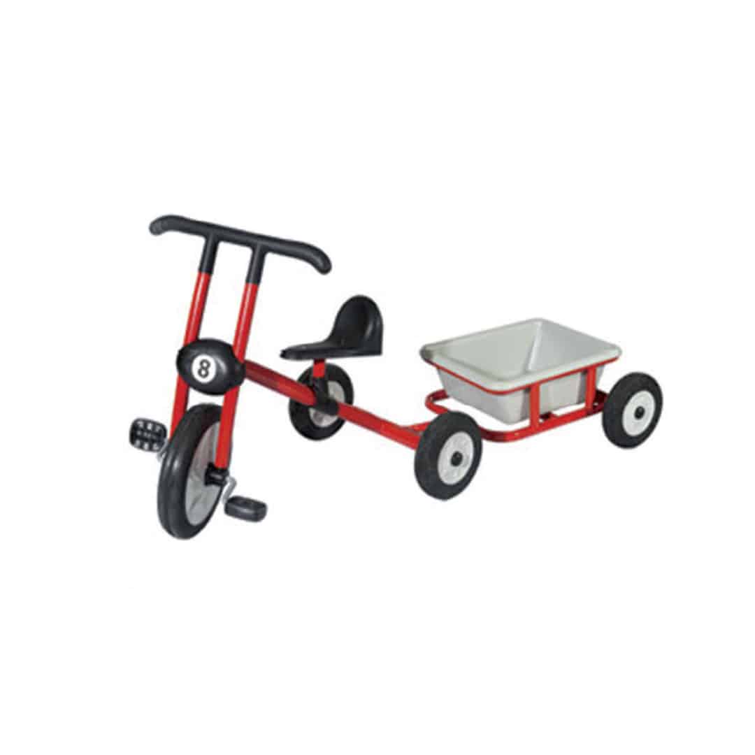 Tricycle with container