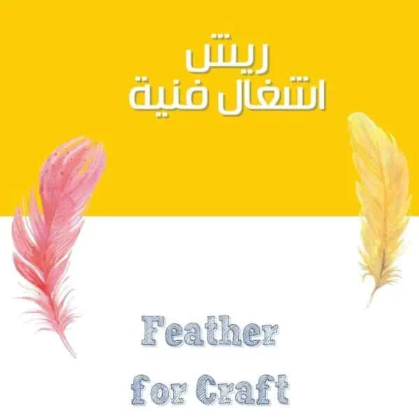Feathers