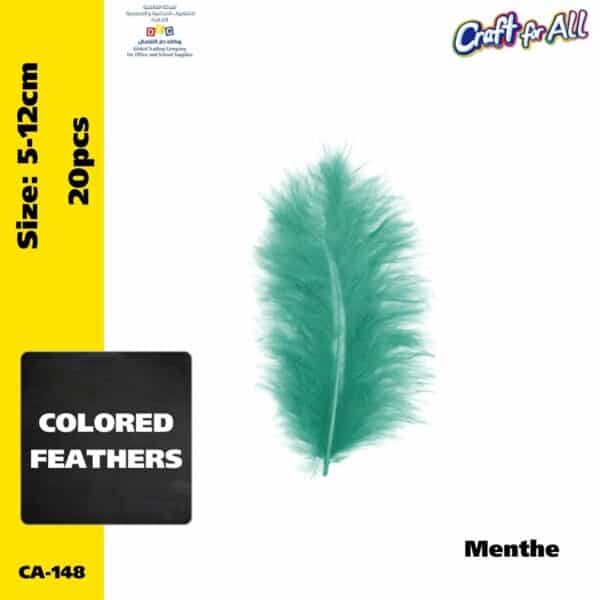 Colored feathers  5-12cm - menthe