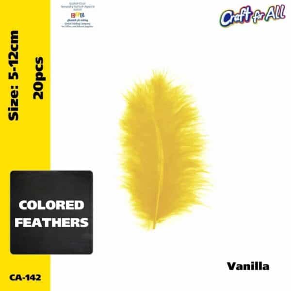 Colored feathers  5-12cm - vanille