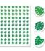 Monstera leaves (pp) hot spots