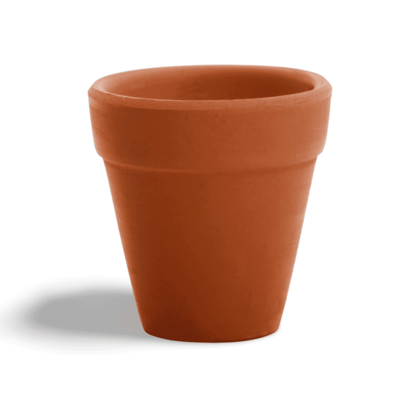 Terracotta clay pots