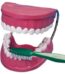 Toothbrush set big