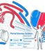 Blood circulation, magnetic board material