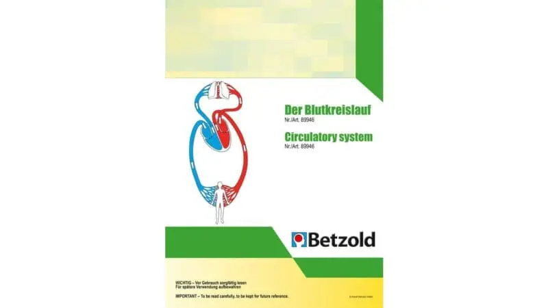 Blood circulation, magnetic board material