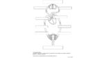Blood Circulation, Magnetic Board Material
