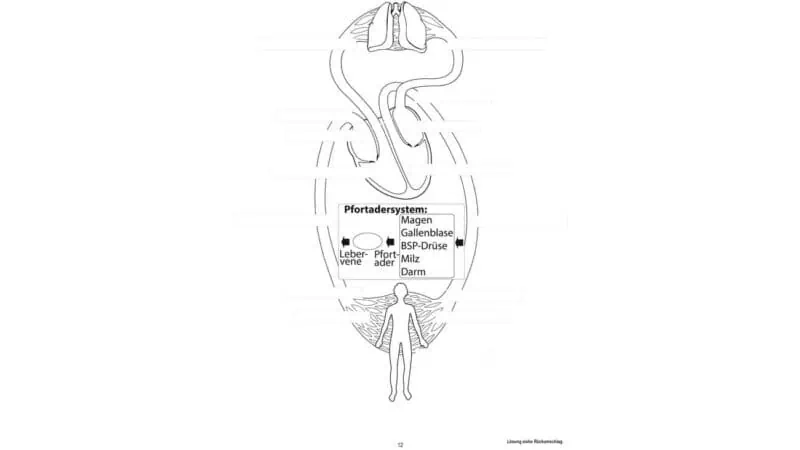 Blood circulation, magnetic board material