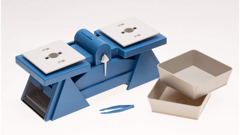 School balance and scale