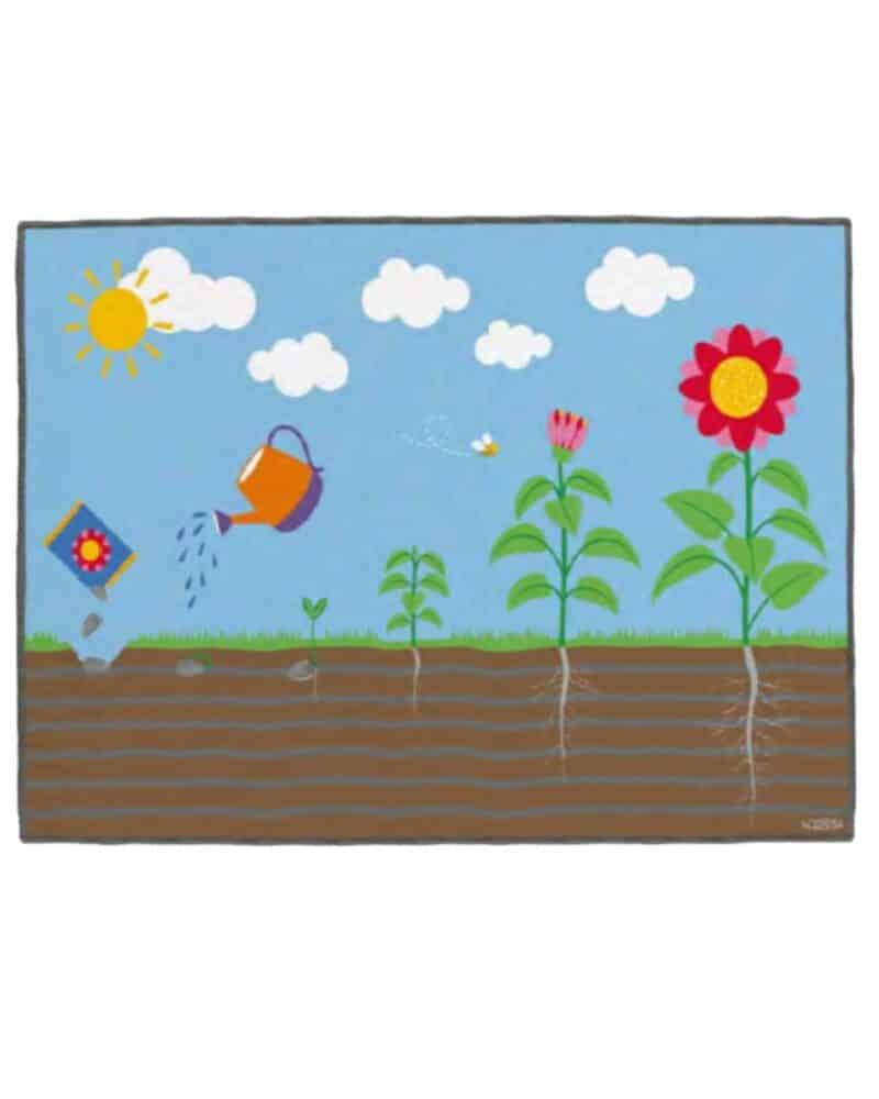 A drawing of a garden